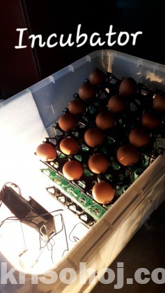 Incubator ।। ইনকিউবেটর (90 Eggs capacity)